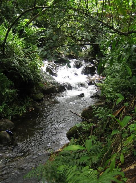 IMG_0428.jpg