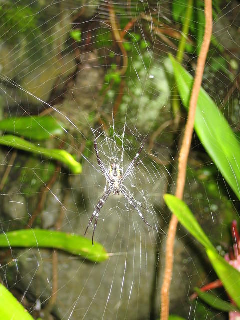IMG_0438.jpg