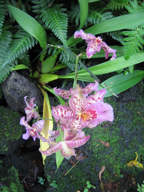 IMG_0482.jpg
