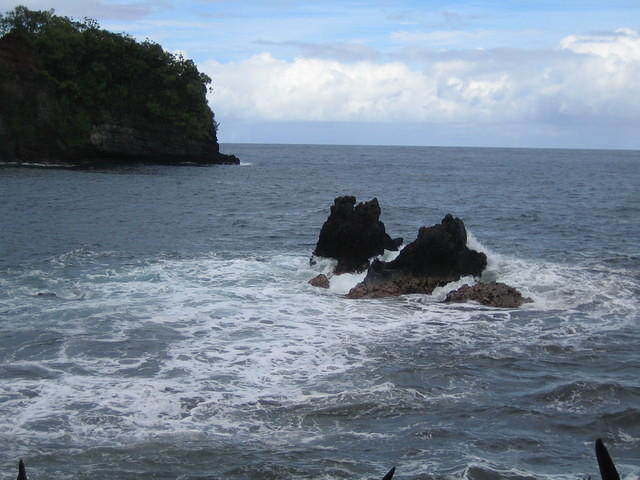 IMG_0492.jpg