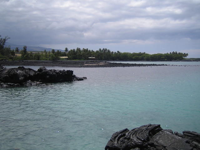 IMG_0534.jpg