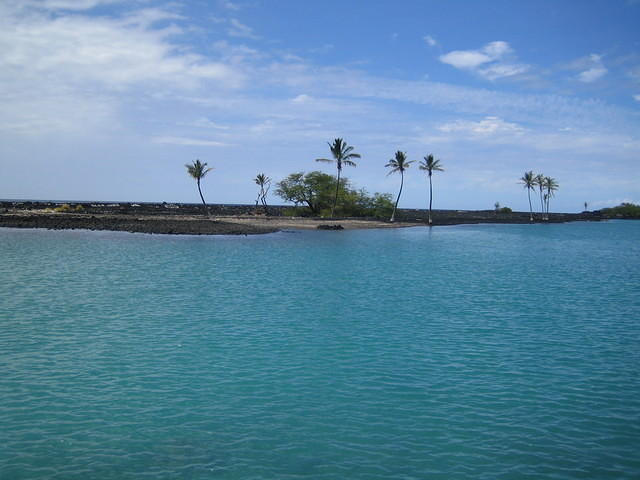 IMG_0536.jpg