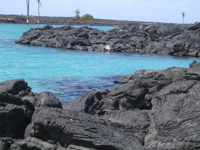 IMG_0538.jpg