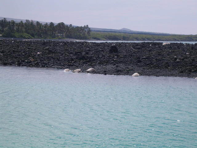 IMG_0548.jpg