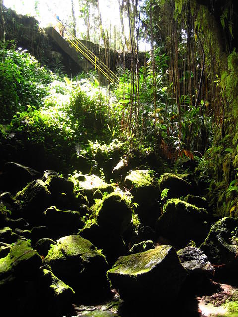 Looking up out of the cave