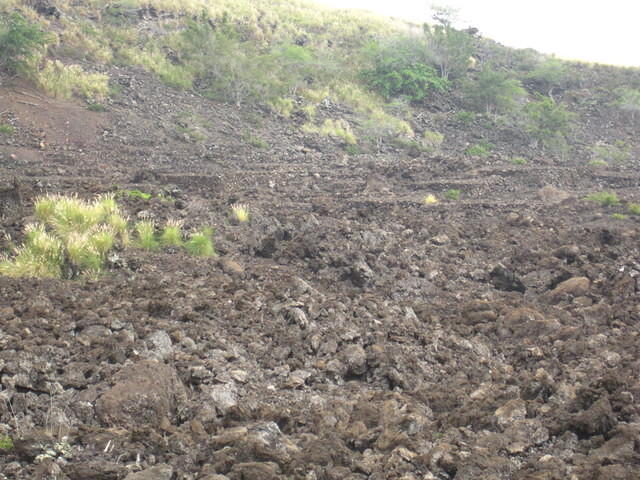 The Burial Grounds from the Kuamo'o Battle.  The battle was between Hawaiians to kill their religion in 1820.