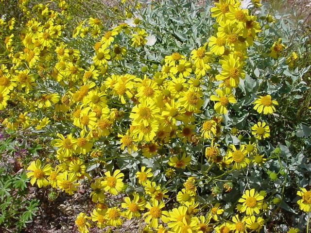 DSC01887.JPG