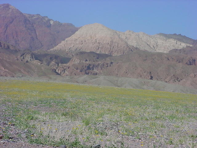 DSC01903.JPG