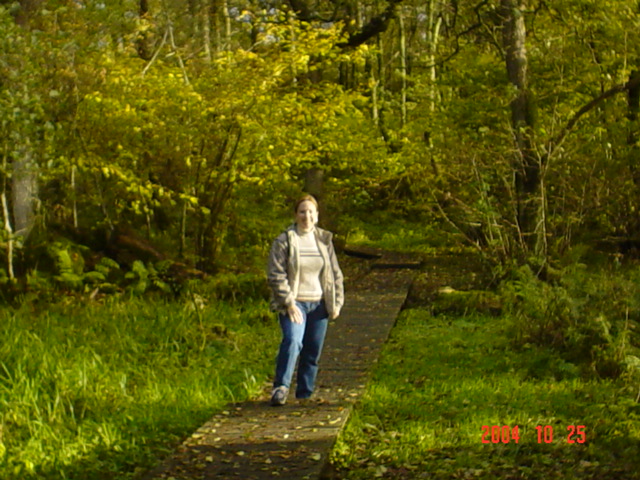 The forest behind Caerlaverock Castle