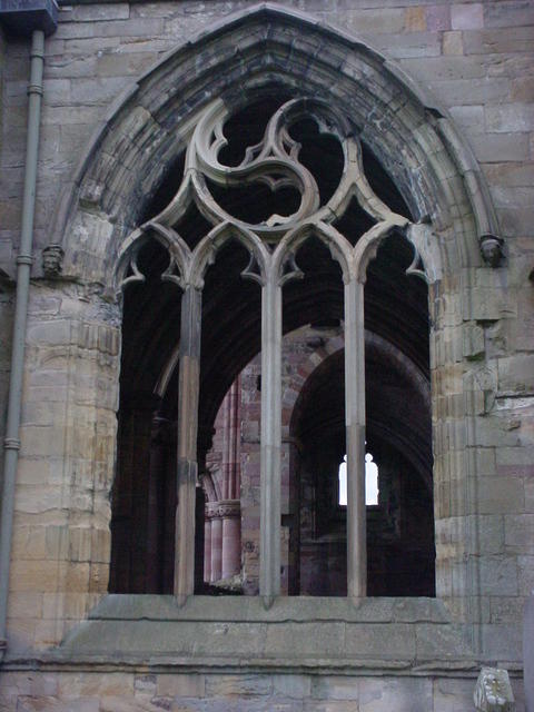 DSC01660.JPG