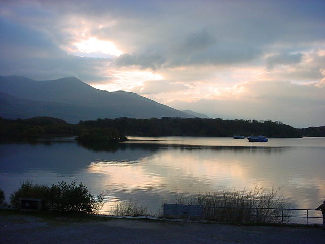 DSC01703.JPG
