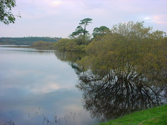DSC01704.JPG