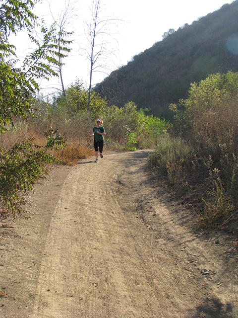 IMG_4006.JPG