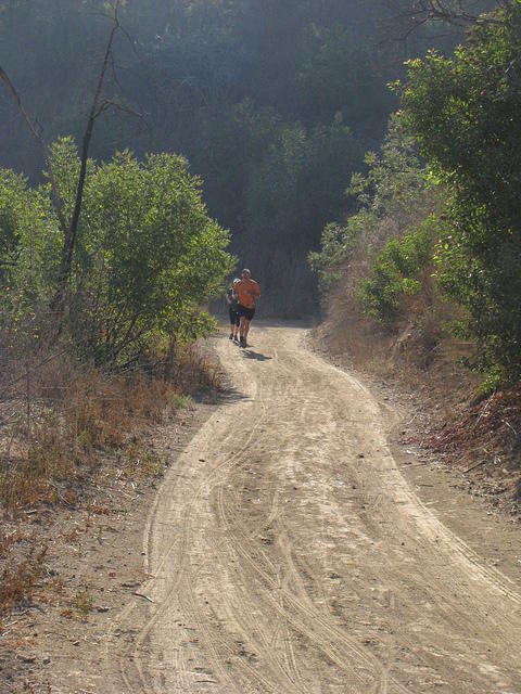 IMG_4013.JPG