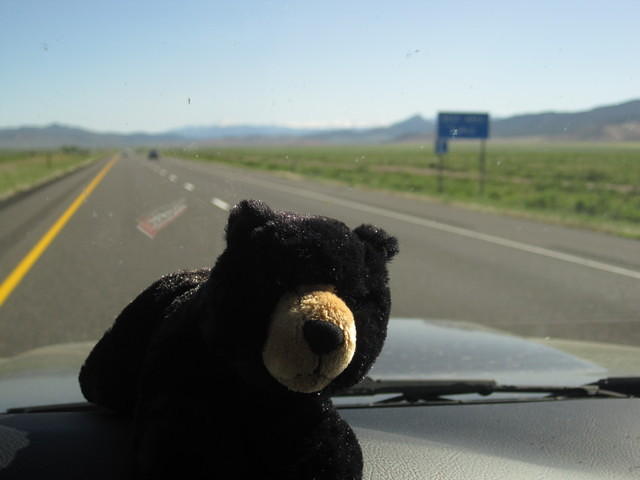 Ursa & I kept each company on the long boring drive through Nevada & Utah while Mickey slept.