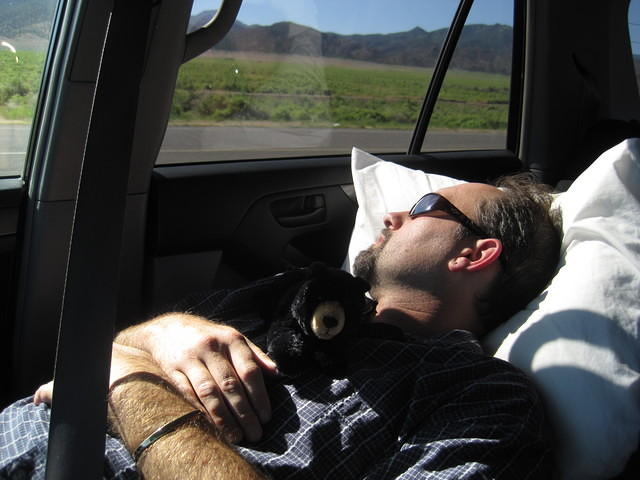 7 a.m. nap time for Mickey after a night of gambling in Vegas.