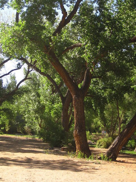 The campground in Moab.