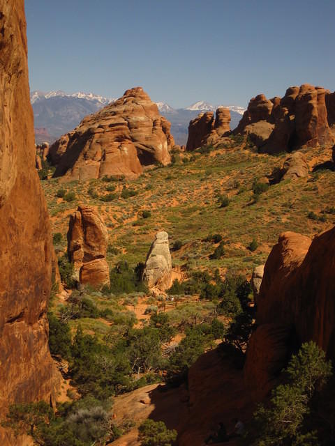 IMG_1115.JPG