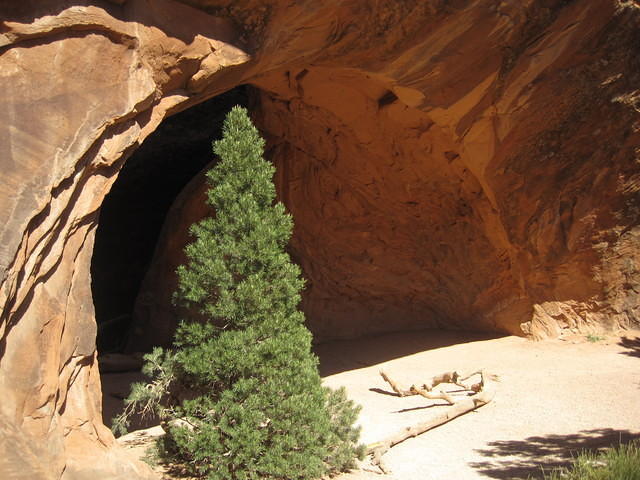 Navajo Arch