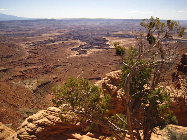 IMG_1220.JPG