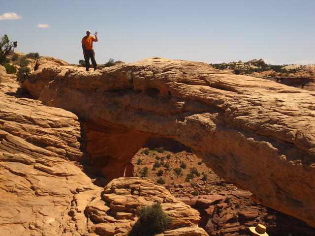 Mickey climbed up an arch