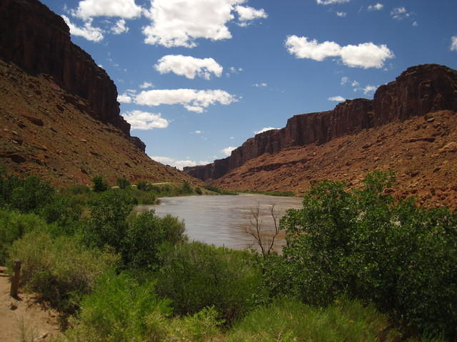 IMG_1255.JPG