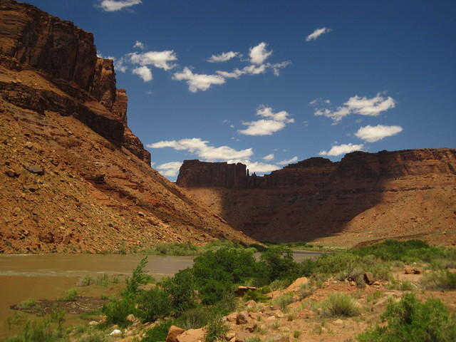 IMG_1256.JPG
