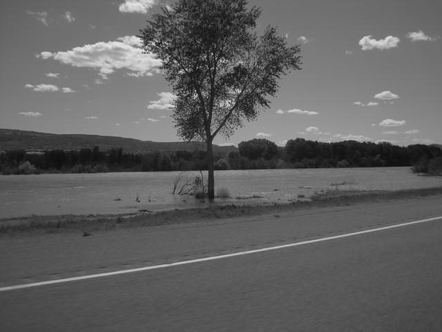 The Colorado River was so high that some parts were on the highway.
