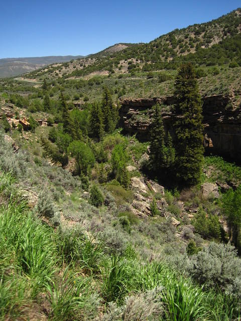 IMG_1307.JPG