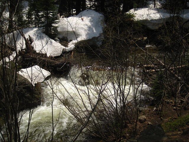 IMG_1386.JPG