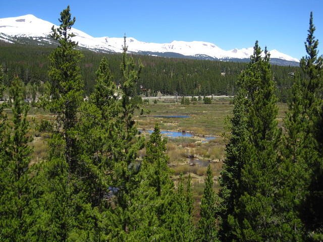 IMG_1435.JPG