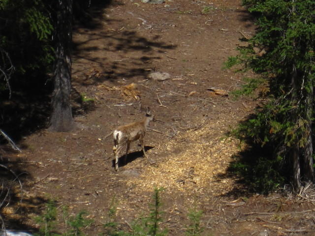 IMG_1438.JPG
