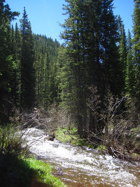IMG_1440.JPG