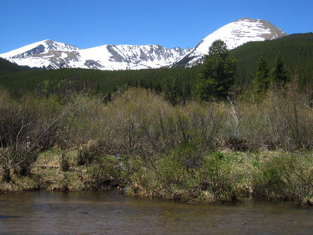 IMG_1442.JPG