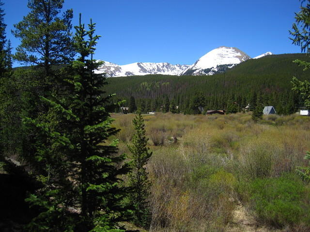 IMG_1445.JPG