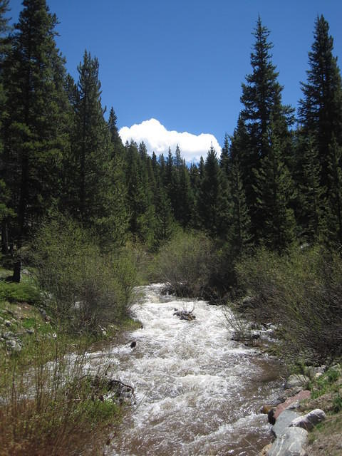 IMG_1453.JPG
