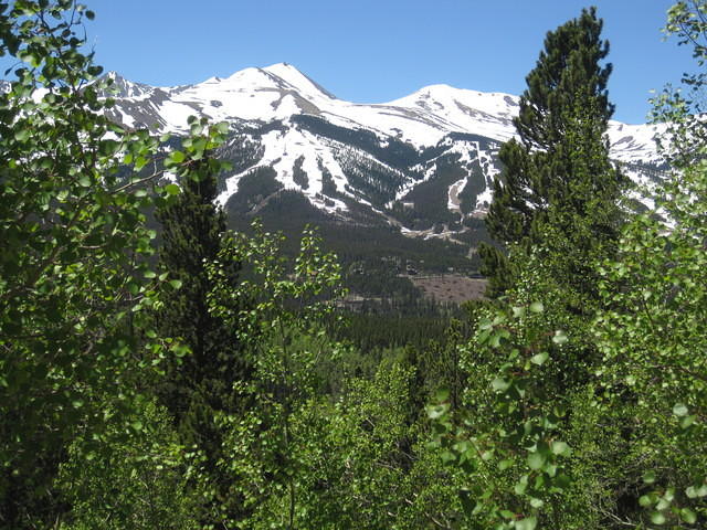 IMG_1471.JPG