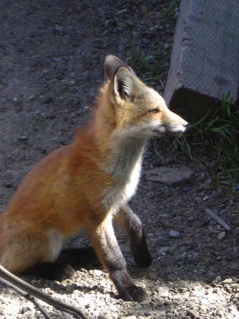 IMG_1535.JPG