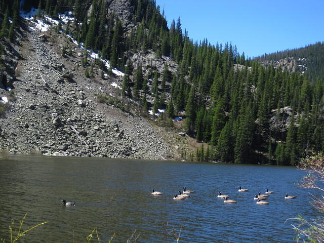 IMG_1567.JPG