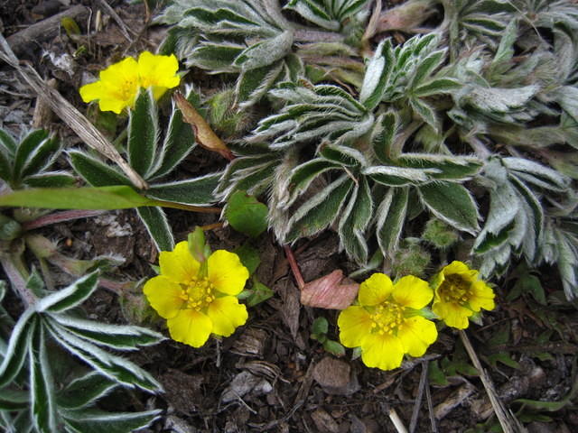 IMG_1627.JPG