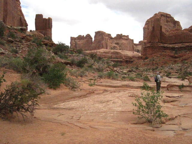 IMG_1705.JPG