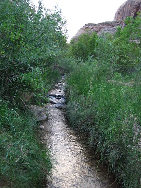 IMG_1733.JPG
