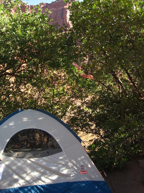 Our campsite along the Colorado River near Moab.