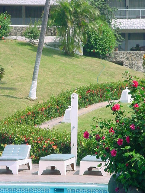 manzanillo 029.jpg