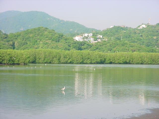 manzanillo 042.jpg