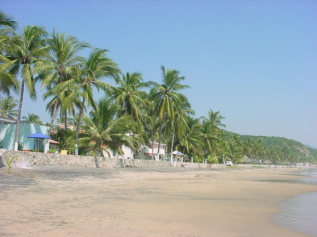 manzanillo 055.jpg