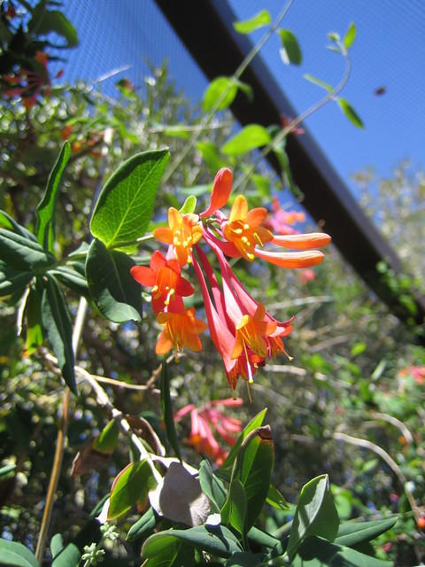 IMG_2703.jpg