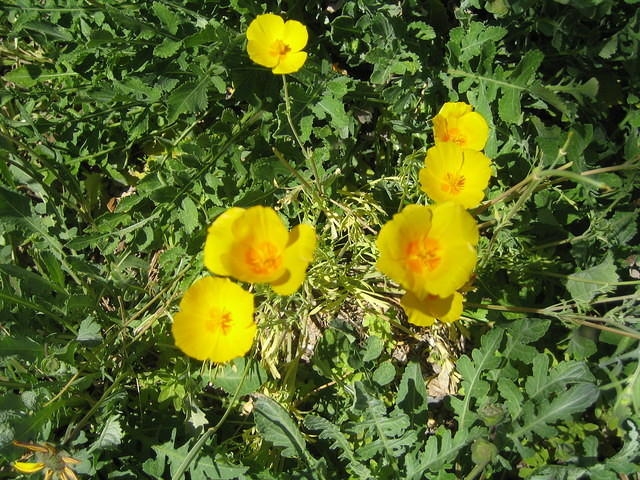 IMG_2711.jpg