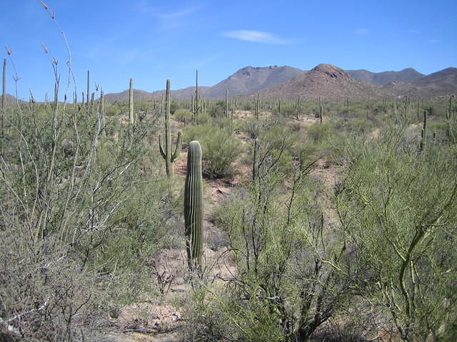 IMG_2720.jpg