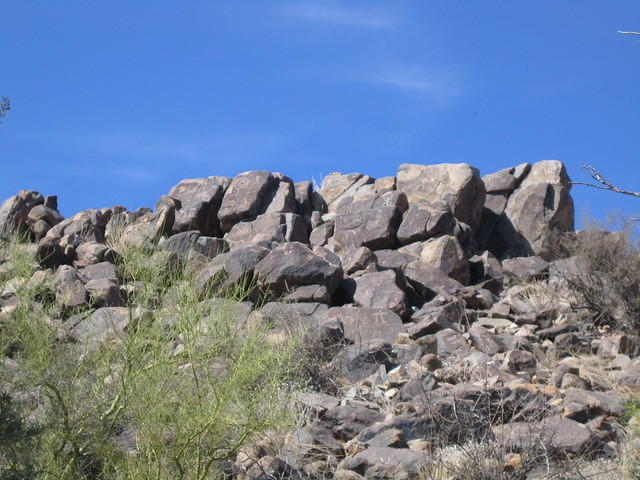 IMG_2727.jpg